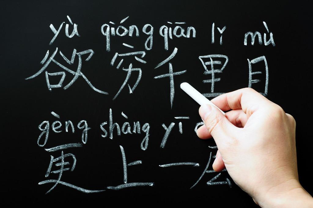 探索自然之美，海鸥的拼音拼写与读音解析