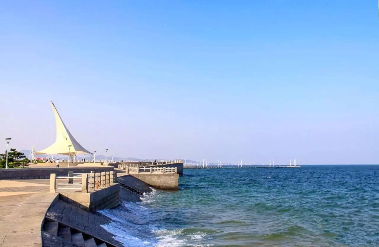 探索海鸥的烹饪艺术，从捕捉到呈现——一幅生动的海鲜盛宴