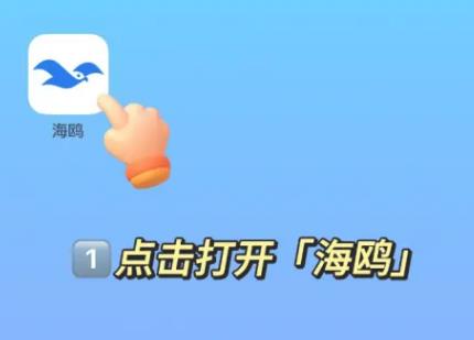 海鸥下载