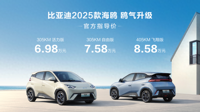 2046年海鸥比亚迪在温州的未来出行展望，从落地价看绿色出行的智慧选择