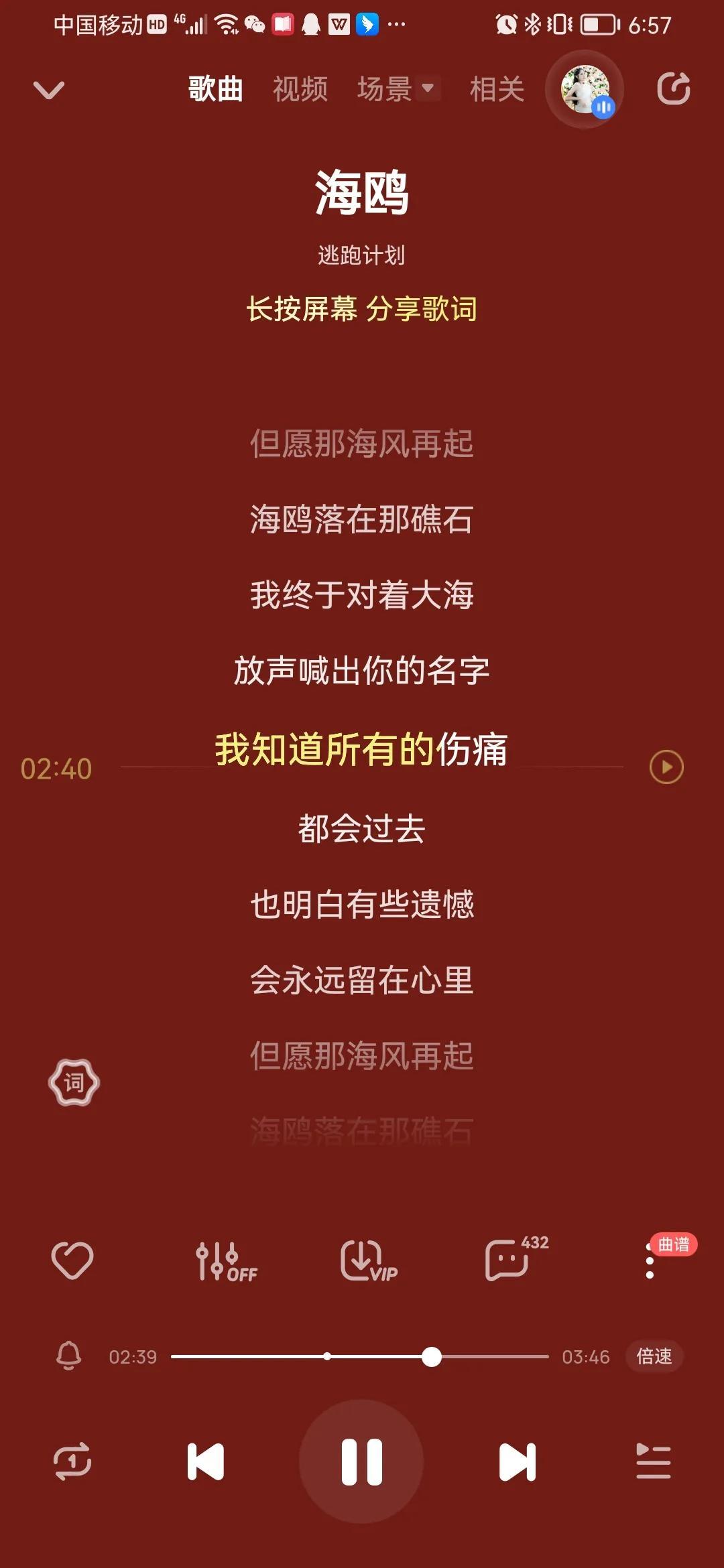 逃跑计划与海鸥，自由之翼下的心灵共鸣