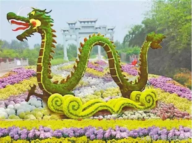 新乡腾飞集团的崛起之路，创新驱动，共筑辉煌新乡腾飞集团最新消息