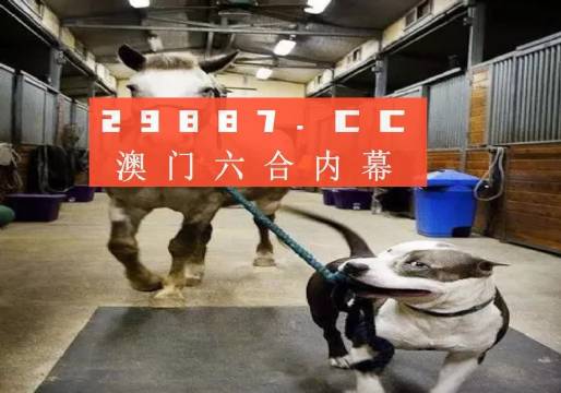 澳门一肖必中，揭秘背后的真相与理性分析澳门一肖一码一必中一肖怒目而视西瓜视频