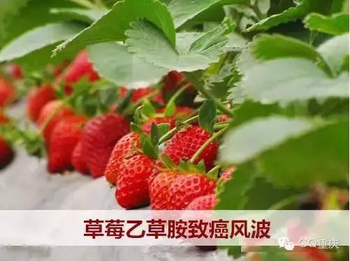揭秘特朗普收押细节，草莓色头发与蓝眼睛—一个政治人物的独特印记特朗普头发颜色咋变了