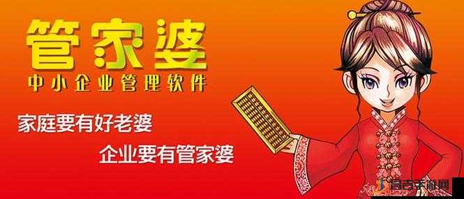 武汉管家婆，城市生活的温馨守护者武汉管家婆软件代理