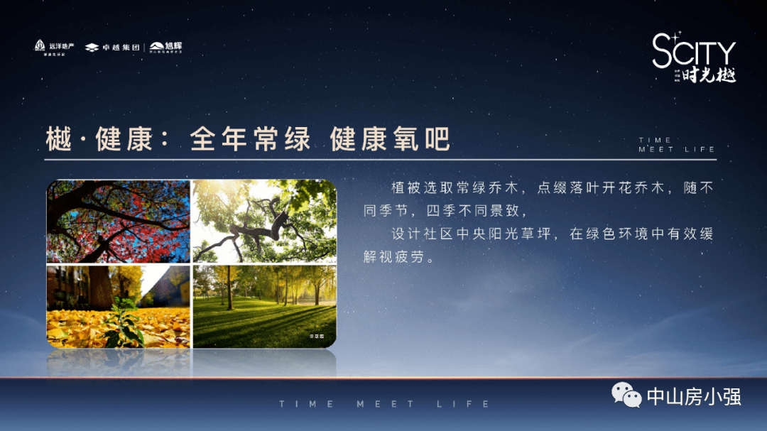 澳门2035年发展蓝图，免费资料大全解析2025年新澳门全年免费