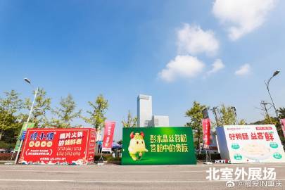 5亿投资，王中王的免费护栏，一场商业与安全的双重考量660678王中王免费提供护栏十二生肖