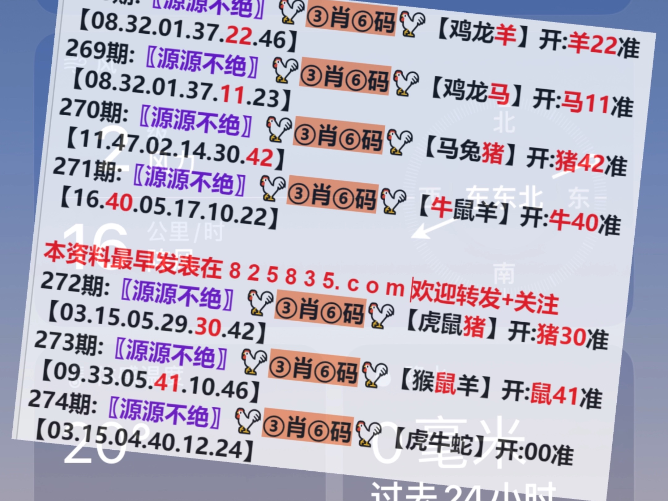 澳门王中王的秘密，204年1%的真相揭秘澳门王中王100%的资料2024年公式双波