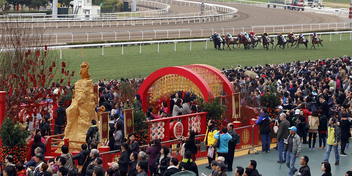 探索香港马会免费资料大全，解锁赛马的奥秘与文化