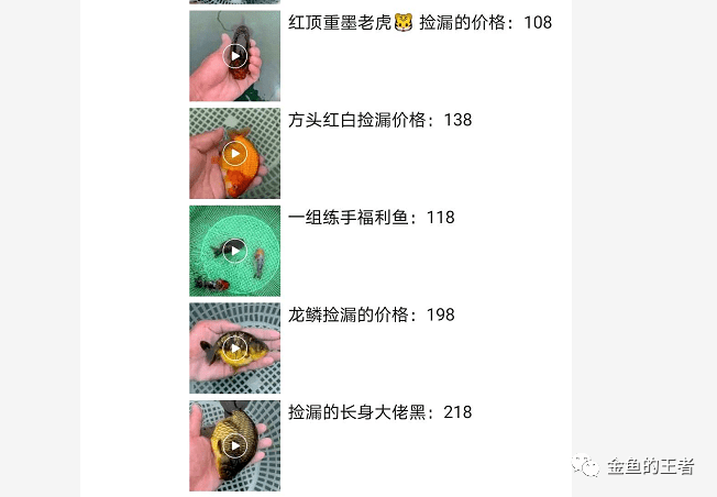 公司简介 第102页