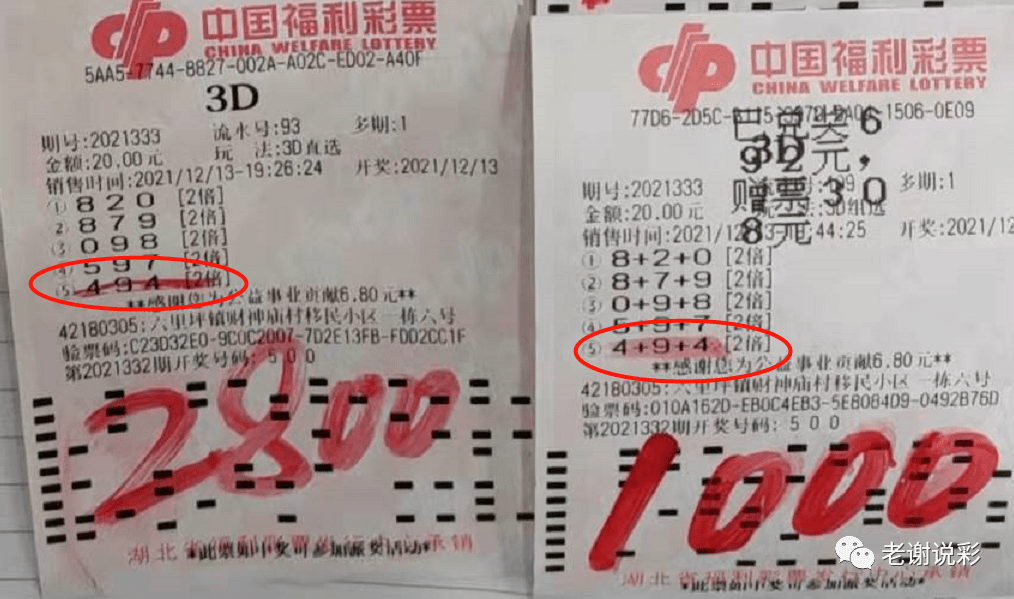 2046年澳门，天天开好彩的未来展望2024澳门天天彩期期精准