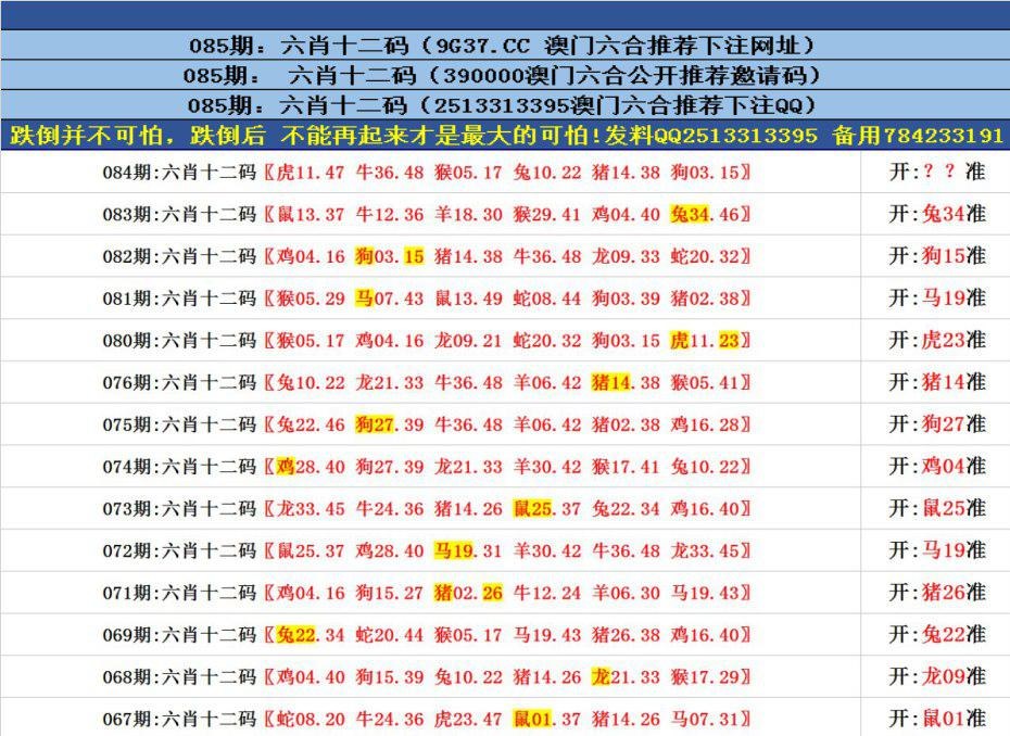 探索香港全港四肖八码精选资料的奥秘与真相香港四肖八码精选正