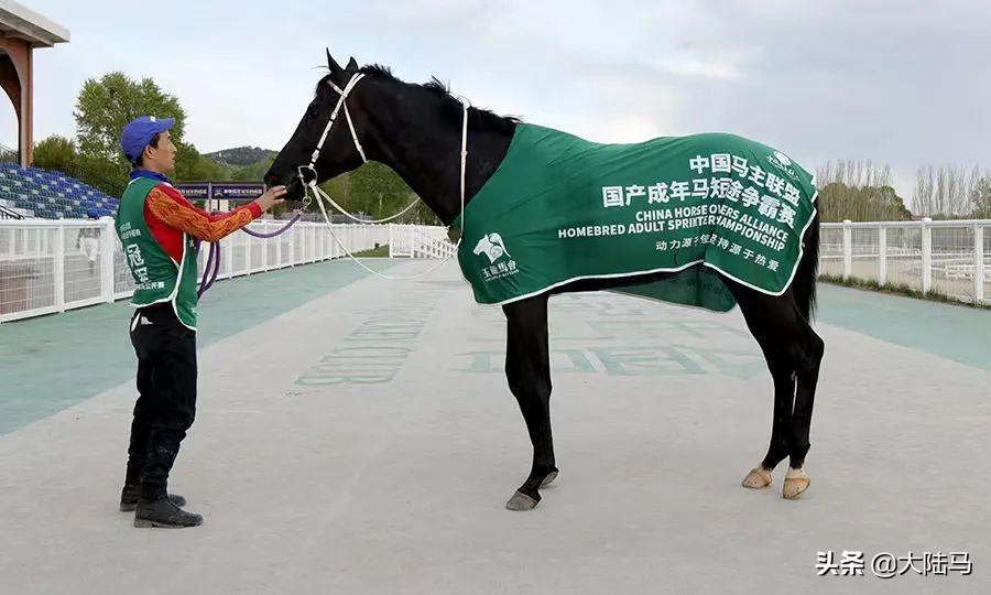 马会传真资料网站论坛—赛马的智慧交流平台马会传真论坛app