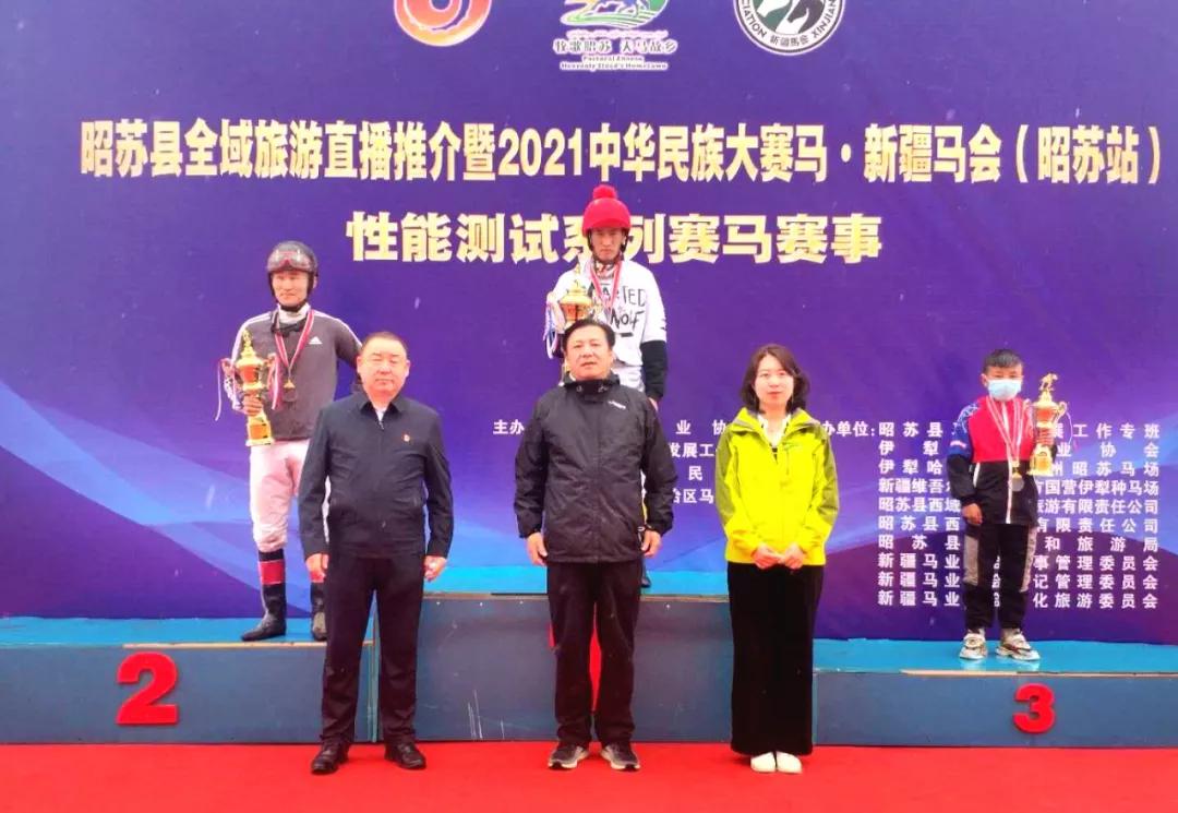 探索香港马会全年资料大全，历史、赛事与慈善的辉煌篇章香港2021年马会资料大全