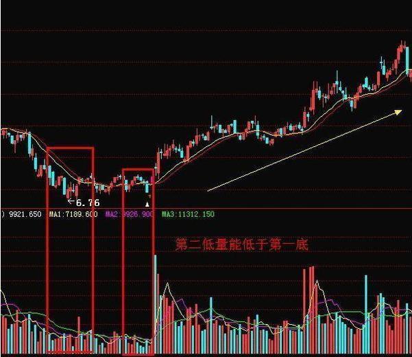 二肖与码的奥秘—长期免费公开分享的价值探索二肖二码10o℅准