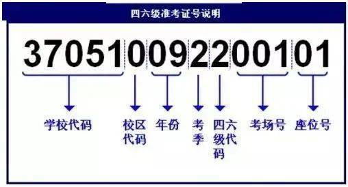 2046，新澳开奖结果—数字背后的幸运与期待2024新澳开奖结果查询今天开奖号码