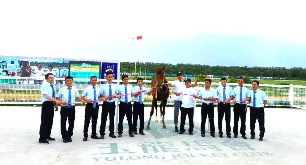 探索香港马会，全年资料大全的深度解析香港2021年马会资料大全