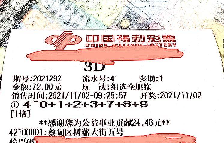 探索期四肖选一的奥秘，理性与直觉在彩票中的碰撞期期四肖选一肖o13888