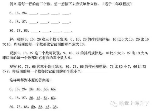 探索2肖3码的奥秘，解锁数字游戏的智慧与策略3肖6码免费公开肖