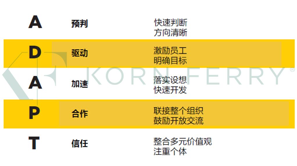 2049，新奥历史开奖记录的辉煌篇章—第81期深度解析2024新奥历史开奖记录81期104看图抓码