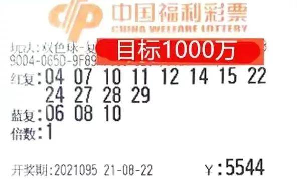 揭秘管家婆一肖的真相，理性看待彩票与概率
