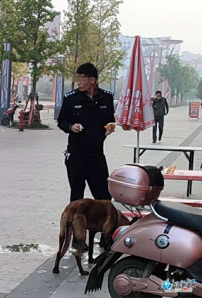 探索小狼狗高手论坛，网络文化的新兴阵地小狼狗高手论坛官网