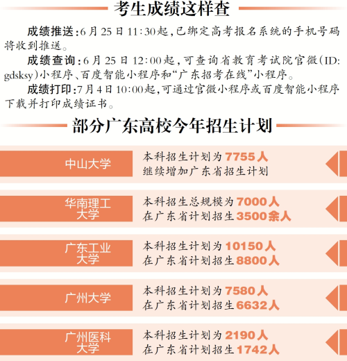 澳门码今期开奖结果，揭秘与展望新澳门今晚开奖结果 开奖