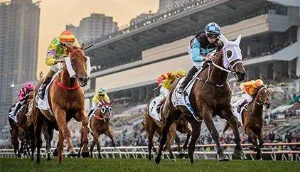 探索香港马会正版料大全2019，赛马的智慧与乐趣香港正版马会免费资料大全