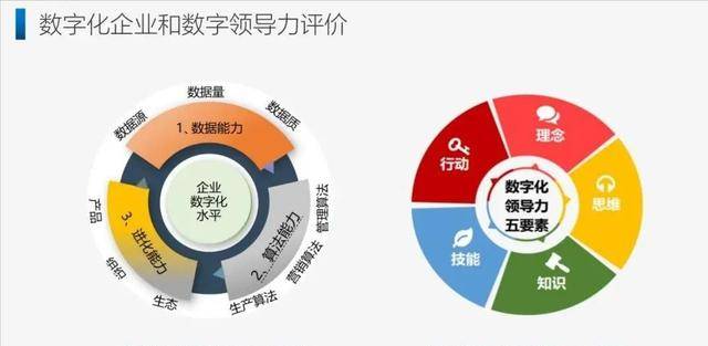探索生活智慧，好日子高手论坛的深度解析与启示好日子高手论坛网站