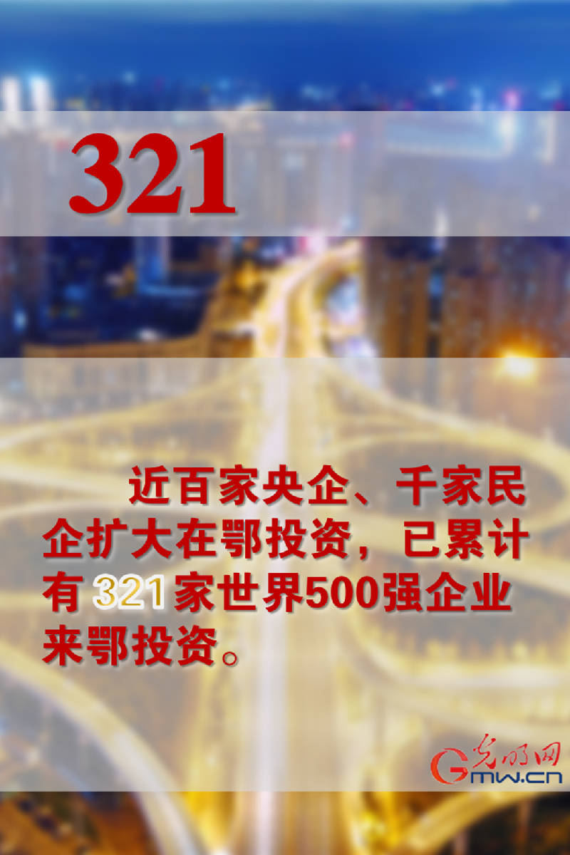 2013年香港金多宝资料，一场数字革命的见证香港金多宝资料多出号码日