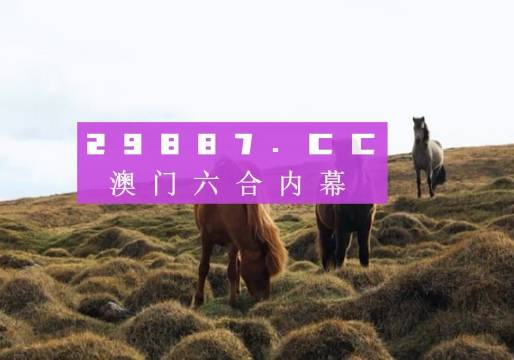 澳门4907期开奖结果揭晓，历史记录与未来展望4949澳门开奖结果开奖记录9