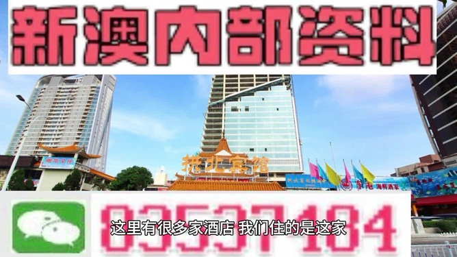 澳门精准资料，期期的精确洞察与未来展望新奥最精准免费大全