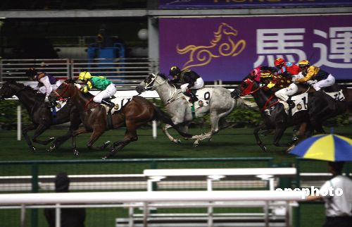 探索香港马会正版资料大全2019，赛马的智慧与乐趣香港正版马会免费资料大全