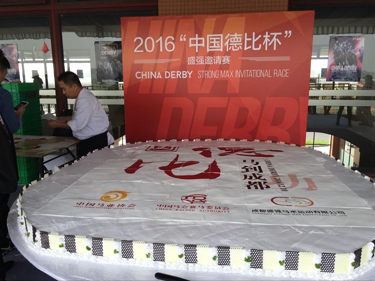 蓝月亮马会精选资料大全，解锁赛马的奥秘与魅力蓝月亮马会精选资料大全香