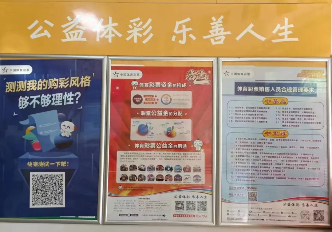 今晚特马号，揭秘彩票背后的数字魔法与人生哲理今晚特马号2014年