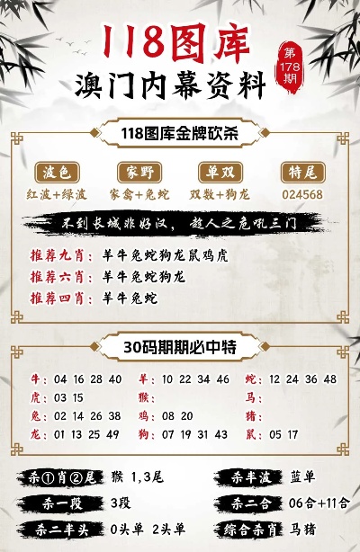 澳门，49628的背后与未来展望49629彩资料查询