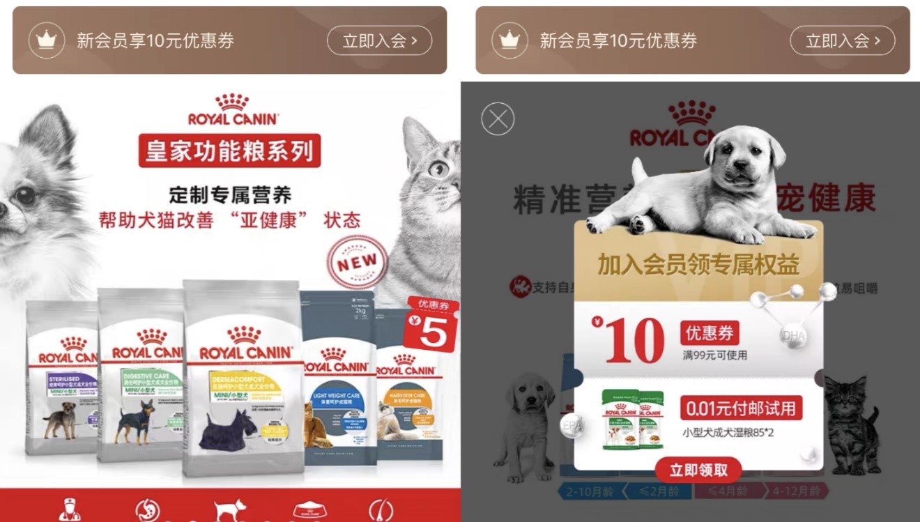 公司简介 第36页