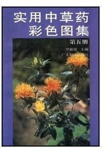 探索天牛红五图库大全，深度解析与使用指南天牛红五图库大全彩报