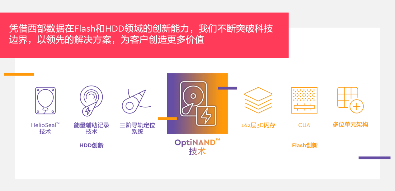 1326.cc，重塑数字时代的在线教育新生态13262cc马会传论坛下载