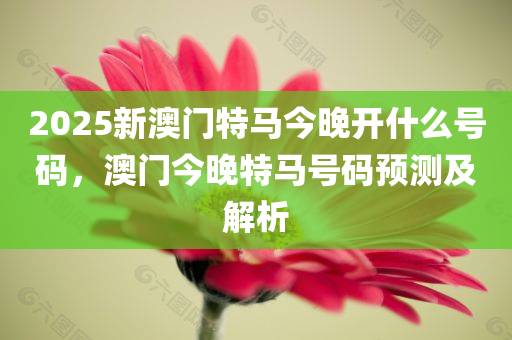2038年今晚澳门特马揭秘，数字背后的奥秘与期待2023今晚澳门开特马图