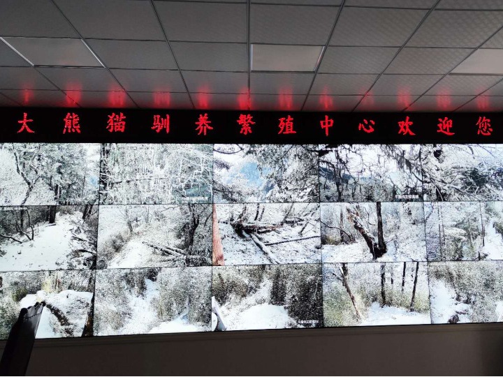 插管技术新突破，第210期动态图解析与实战应用插管第2460期动态图有声音