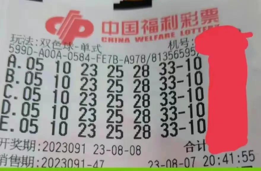 6合开奖记录，透视数字背后的奥秘与乐趣6合开奖记录下载