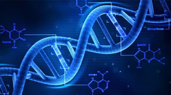 探索比思永久域名的奥秘与优势—打造稳定、安全的在线存在感基石比思论坛怎么可以在移动网络上网