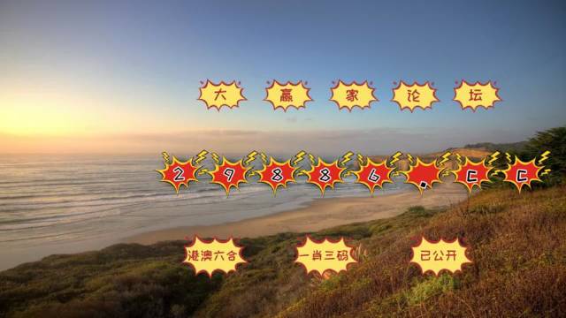 2048新澳门天天开好彩大全，正版玩家的智慧之选澳门天天彩精准免费大全