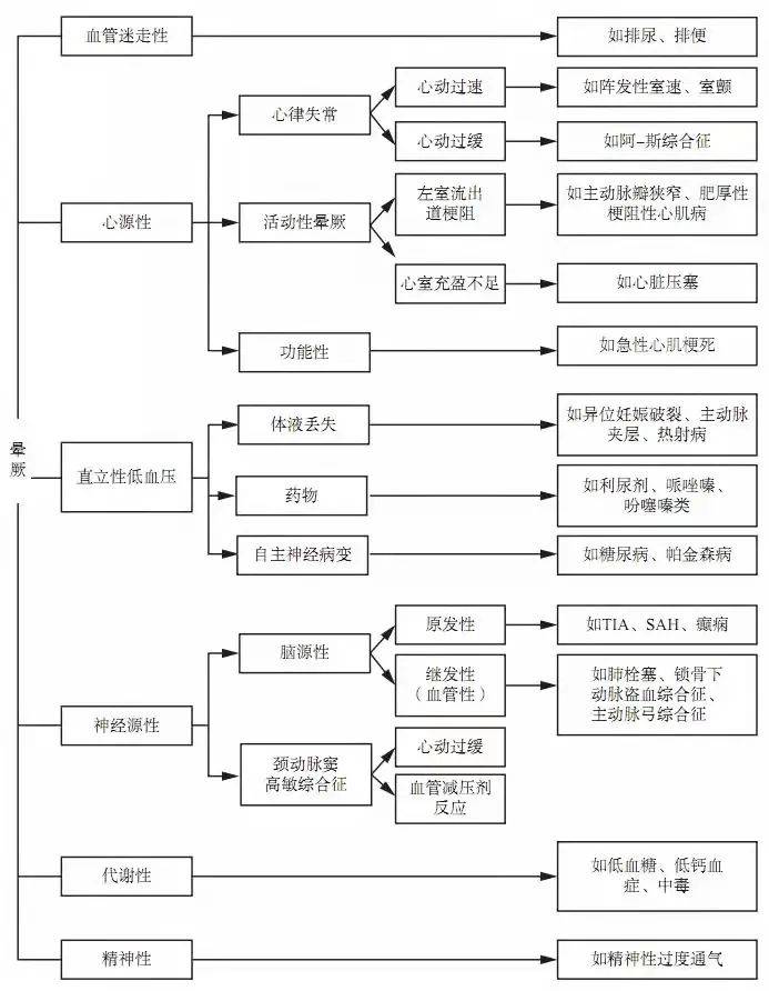 探索新奥全部开奖记录，揭开数字背后的奥秘新奥全部开奖记录查询香港