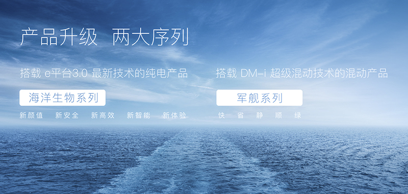 澳大小说网，文学的海洋，创意与梦想交汇的地方澳大小说网精选珍藏版免费阅读