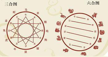 longkong 第7页