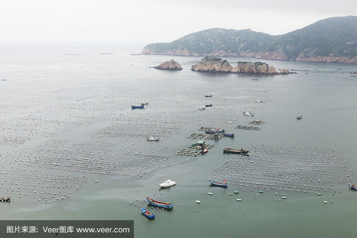 探索大洋岛的娱乐新天地，揭秘大梦洋论坛大洋岛在哪里