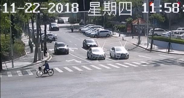 粤彩网，广东文化与现代科技的完美融合粤彩网站