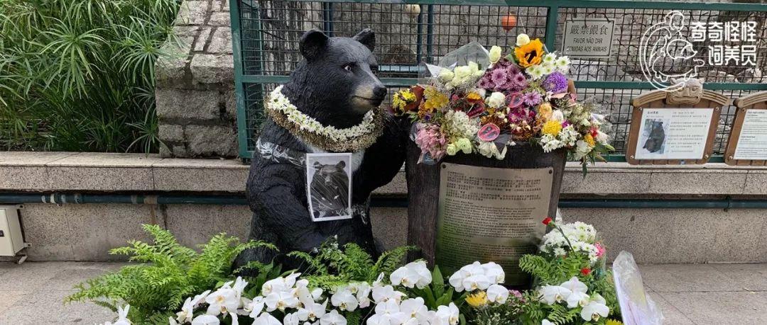 澳门今天开奖结果揭晓，梦想与现实的碰撞澳门今天开奖结果出来了吗图片